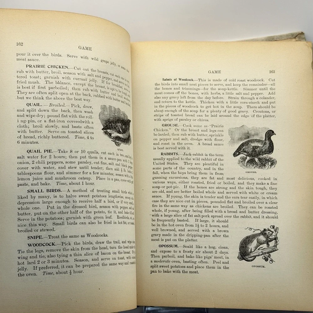 Antique 1900 Cookbook Twentieth Century Cook Book And Practical Housekeeping‎ HC